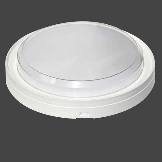 Foco Tortuga Redondo 12W